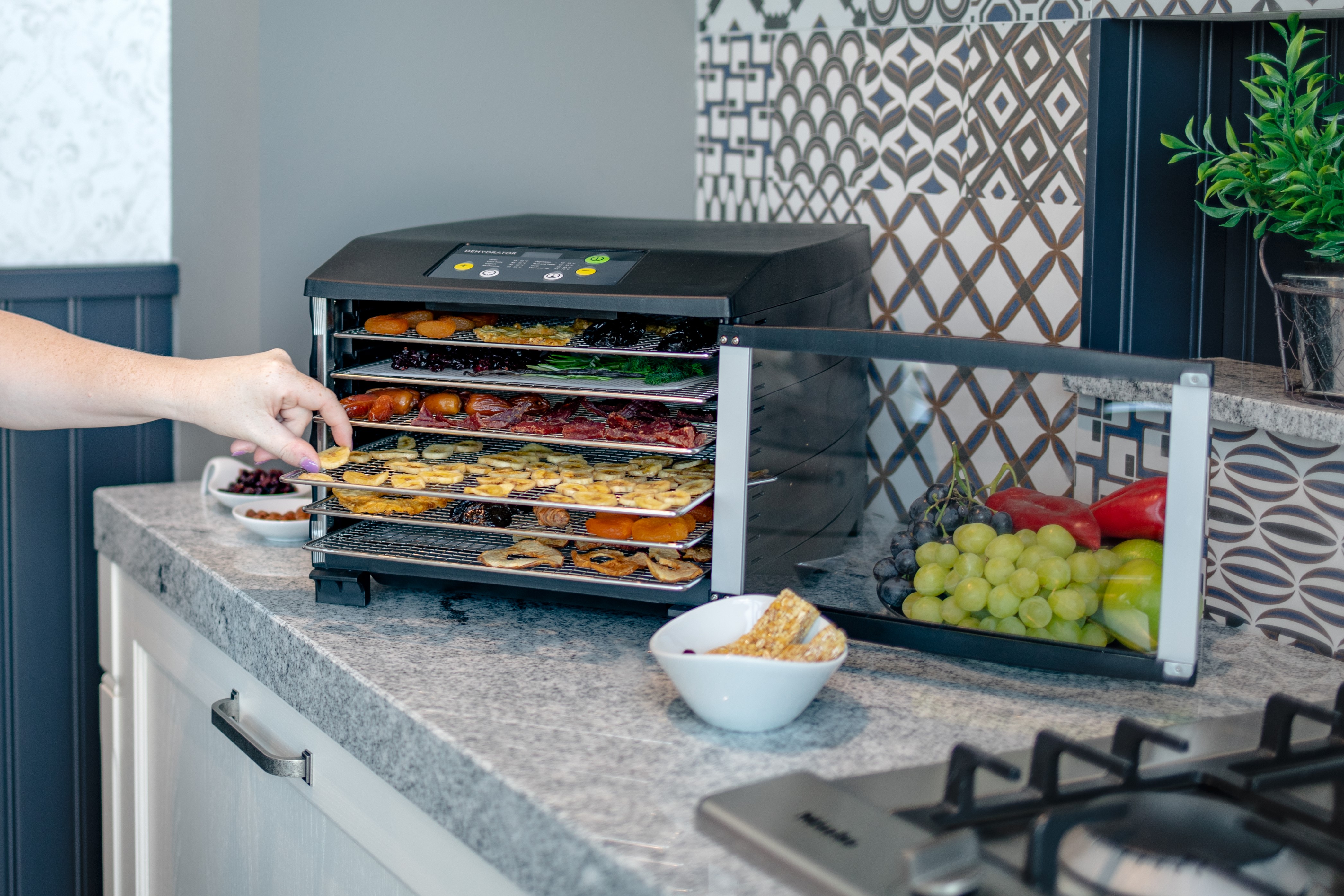 Steba Dehydrator Grå/Sort